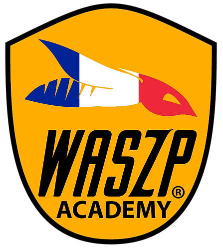 Logo-Waszp-FR-ACADEMY - V3