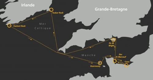 carto normandie cup