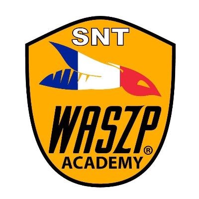 LOGO WASZP ACADEMY