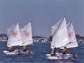 Opti voile 150 ans